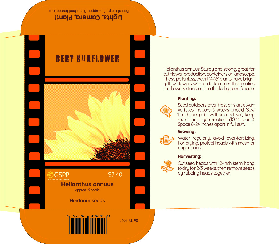 Seed pack no glue flap2-3333